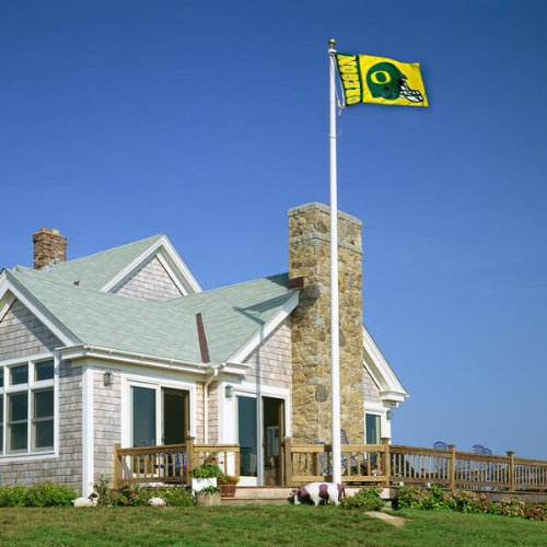 Image #4 of Oregon Ducks UO