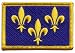 Écusson brodé Flag Patch France Île de France - 8 x 6 cm