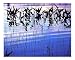 Night Rhythms Scenic Photographic Poster Print by Lynda Lehmann, 10x8