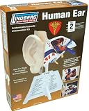 Lindberg Human Ear