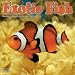 Exotic Fish 2009 Wall Calendar 12 X 12