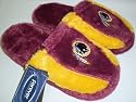 Washington Redskins NFL Plush Slide Slippers