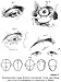 The Practice and Science of Drawing, Illustrated
