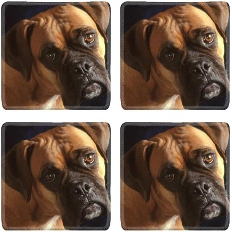 Boxer Dog Puppy Dog Pets Animals Square Coaster (4 Piece) Set Fabric Rubber 5 Inch Size Luxlady Coaster Cup Mug Can Water Bottle Drink Coasters Stain Resistance Collector Kit Kitchen Table Top Desk