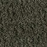 Shaw Super Chic Shag Area Rug Car Wash