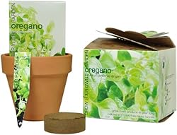 S.F. Imports Grow Your Own Herb Kit