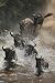 The Great Migration of Wildebeest at Masai Mara - 24"H x 16"W - Peel and Stick Wall Decal by Wallmonkeys
