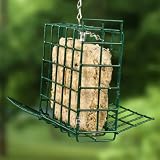 Birdola Small Cake Feeder w/Perch (Case of 8)