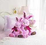 Knowing God: Walking through the Book of Books