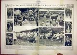 Live-stock Print 1919 年ウェールズカーディフ王子の牛王 live