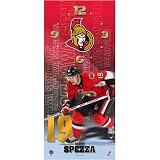 Frameworth Ottawa Senators 7x16 Jason Spezza Clock