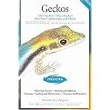 Geckos (Paperback)