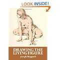 Drawing the Living Figure