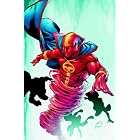 Red Tornado: Family Reunion by Kevin VanHook, Ed Benes, and Mariah Benes