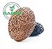 Premium Natural Lava Pumice Stone - Best Exfoliation and Pedicures - Callus Removal - Best Pumice Stone for Healthy and Smooth Hands and Feet