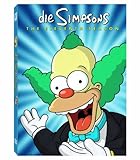 Simpsons Staffel-Box #11
