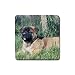 Akita Puppy Rubber Square Coaster (4 pack)