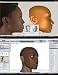 FaceShop 3.7 for 3D Max, Poser, Maya, WIN/Mac