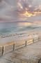 Boardwalk in Disrepair: The Splintering of Miss Patriotic