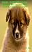 My Dog Care - The Ultimate Guide For Dog Lovers: (dog questions,puppies care,grooming dogs,tips for dogs,dog health problems,breeding dogs)