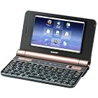 SHARP Net Walker (ネットウォーカー) モバイルインターネットツール ブラック系 PC-Z1-B