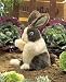 Baby Dutch Rabbit Puppet 10" by Folkmanis Puppets