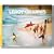 Leroy Grannis: Surf Photography of the 1960s and 1970s