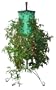 Felknor Ventures 81600 Tomato Tree