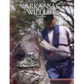 Arkansas Wildlife