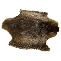 Beaver Pelt for Sewing