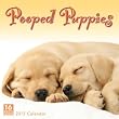 Pooped Puppies 2013 Wall Calendar