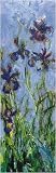 Irises by Claude Monet. Art Print Poster 12 inches width by 36 inches height. Highest Quality Art Poster Print