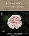 Books : Rose in Bloom A Sequel to Eight Cousins
