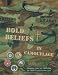 Bold Beliefs In Camouflage: A - Z Briefings Image of Bold Beliefs In Camouflage: A - Z Briefings