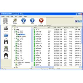 FILERECOVERY Professional