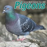 Eigenschaften Avonside Publishing Ltd.  / Kalender 2009 Taube - Tauben - Pigeons