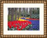 Picture Frame Gold w/ Red .. 1.5'' wide