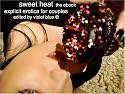 Sweet Heat : Explicit Erotica for Couples