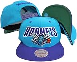 Charlotte Hornets Teal/Purple Two Tone Plastic Snapback Adjustable Plastic Snap Back Hat / Cap