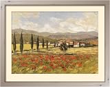 Bei Grosseto framed art print by Gabor Szabo
