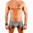 Mens New Hot Zebra Print Boxer Swimsuit Gary Majdell Sport