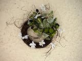 Cherry Flower and Blackberry Front Door Wreath
