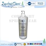 Genuine InSinkErator Hot Water Tap filter F-701R (NOT SO CALLED COMPATIBLES), for MODEL HC-1100 & MODEL GN-1100