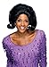 Rubie's Costume Fabulous 50's Dream Girl Wig