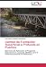 Cambio de Fundación Superficial a Profunda en Puentes: Ejercicios de Aplicación al Programa Estructural en Lenguaje QBASIC para el Dimensionamiento de Elementos at Amazon Books: 51MrKn9CLpL._SL75_