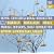 Debussy/Dutilleux/Ravel (RCO, Jansons)