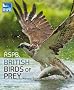 RSPB British Birds of Prey