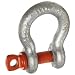 CM M649A-G Screw Pin Midland Anchor Shackle, Alloy Steel, 7/16" Size, 2-5/8 ton Working Load Limit