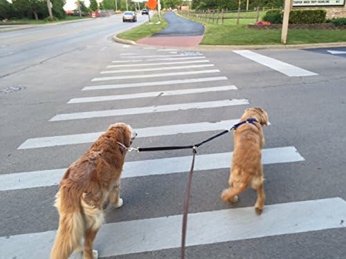 Double Dog Leash Coupler For Walking 2 Medium to Large Sized Dogs - Fusion Pet Supplies