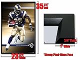Framed St Louis Rams Steven Jackson Poster Fr4340